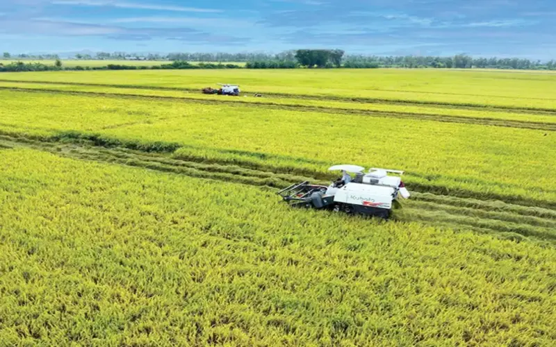 بناء دلتا ميكونغ خضراء – تطلعات موحدة، إجراءات مشتركة.